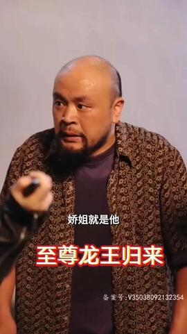 至尊龙王归来海报