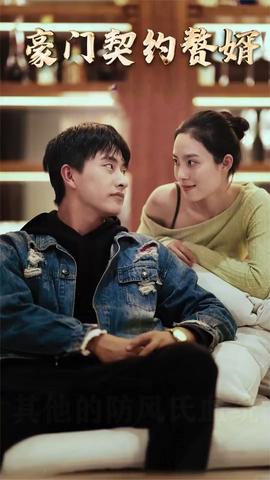 豪门契约赘婿海报