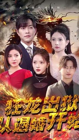 狂龙出狱：从退婚开始海报