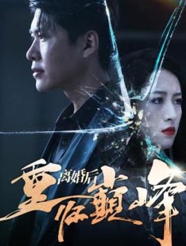 离婚后重回人生巅峰海报