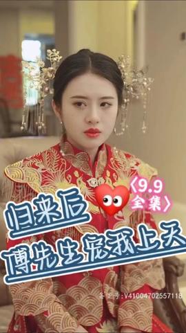 归来后傅先生宠我上天海报