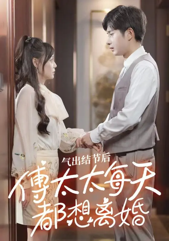 气出节气后，傅太太每天都想离婚海报