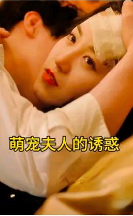 萌宠夫人的诱惑海报