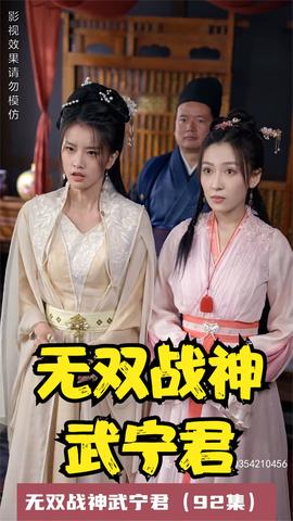无双战神武宁君海报