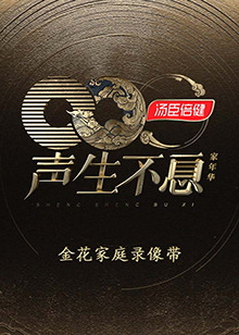 声生不息家年华金花家庭录像带海报