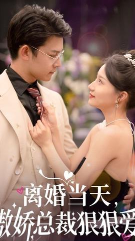 离婚当天，傲娇总裁狠狠爱海报