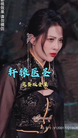 轩辕医圣海报