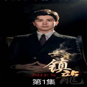 镇龙海报