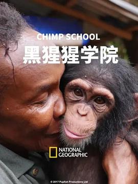 黑猩猩学院海报