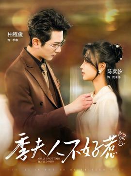 季夫人不好惹海报