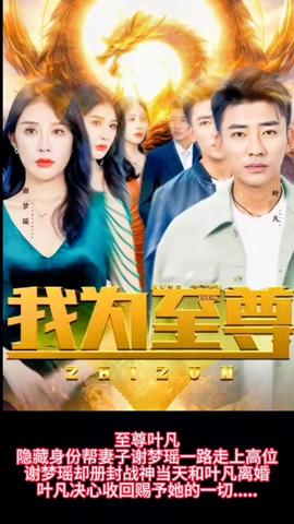 我为至尊海报