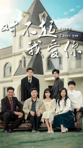 对不起我爱你海报