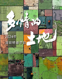 多情的土地海报