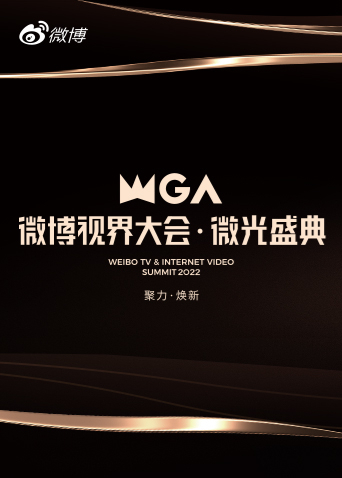微博视界大会微光盛典海报