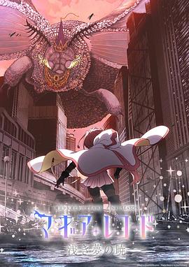 魔法纪录：魔法少女小圆外传最终季-浅梦之晓-海报