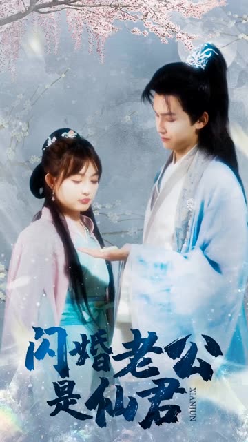 闪婚老公是仙君海报