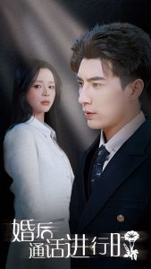 婚后通话进行时海报