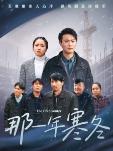 那一年寒冬海报