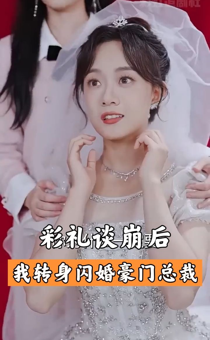 彩礼谈崩后，我闪婚了豪门老公海报