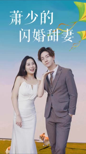 萧少的闪婚甜妻海报