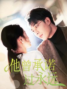 他曾承诺过永远海报