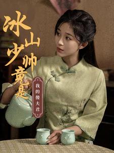 冰山少帅竟是我的傻夫君海报