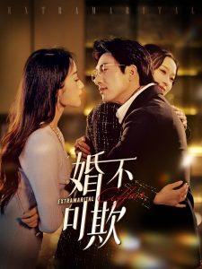 婚不可欺海报