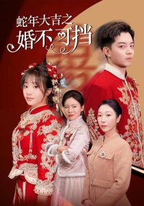 蛇年大吉之婚不可挡海报
