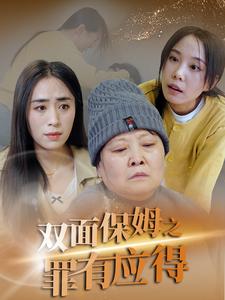 双面保姆之罪有应得海报