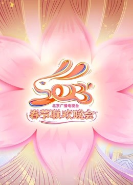 北京卫视春晚海报