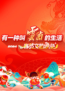 年云南省春节文艺晚会海报