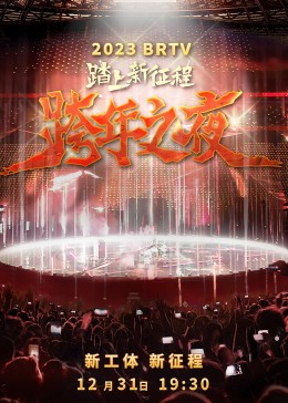 北京卫视跨年之夜海报
