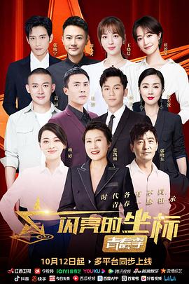 闪亮的坐标青春季海报