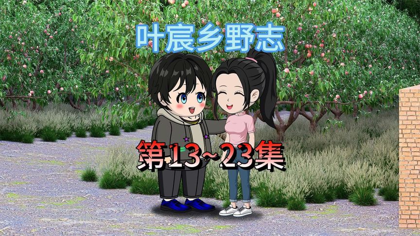 叶宸乡野志海报