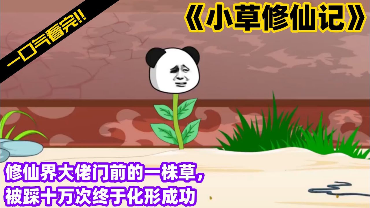 小草修仙记海报
