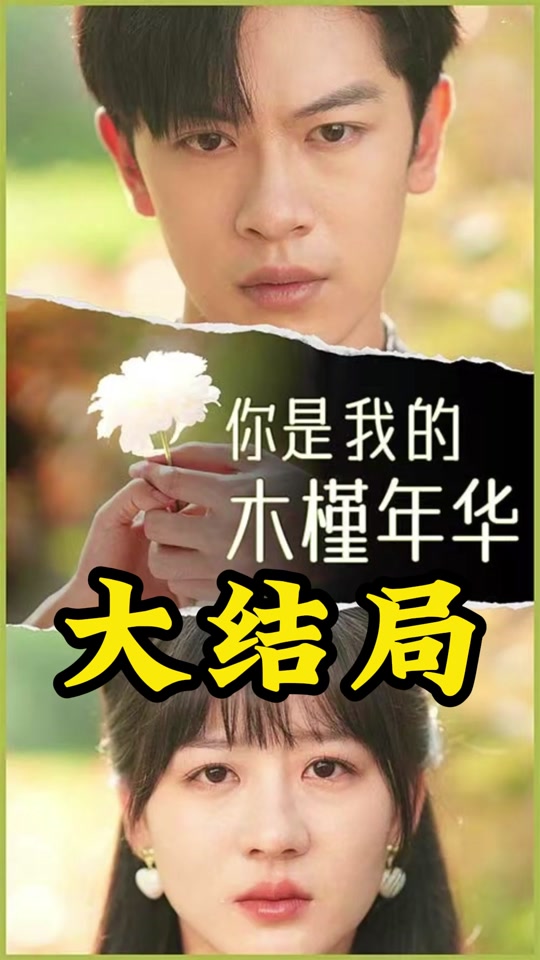 你是我的木槿年华海报