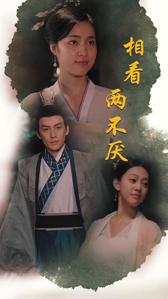 相看两不厌这个王妃不好惹海报
