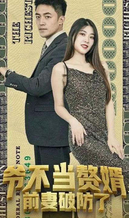 爷不当赘婿，前妻破防了海报