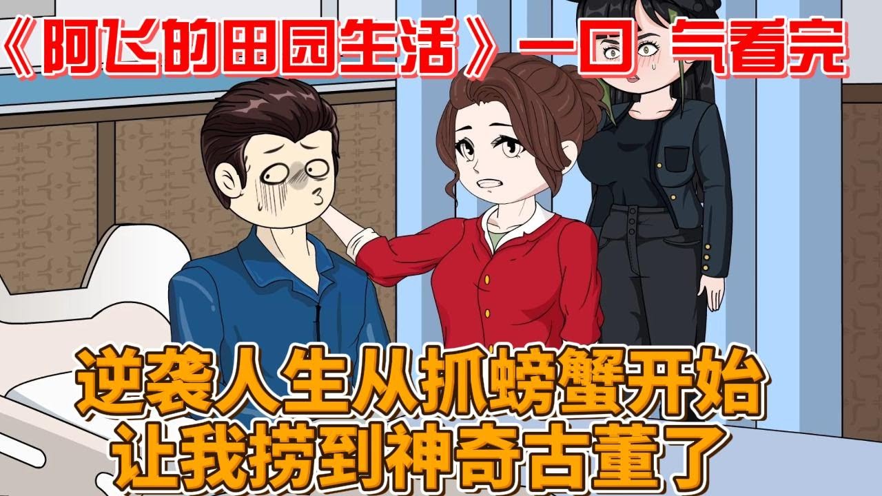 阿飞的田园生活海报