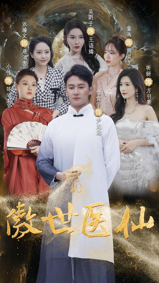 傲视医仙海报