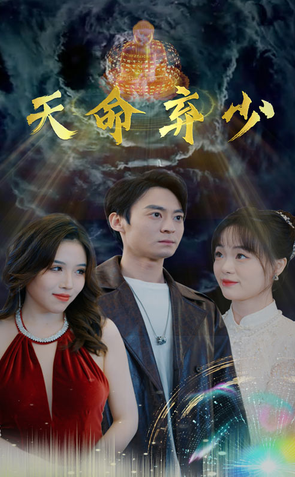 天命弃少海报