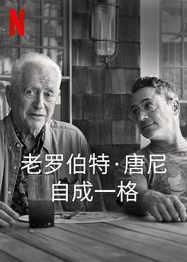 罗伯特唐尼：自成一格海报