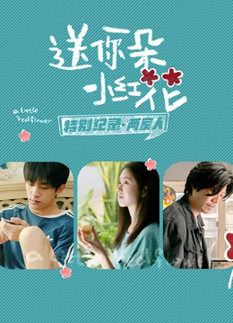 送你一朵小红花  特别纪录最终集海报