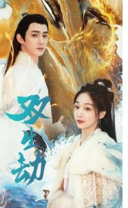 双生劫海报