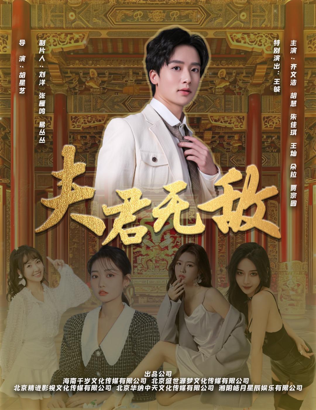 夫君无敌海报
