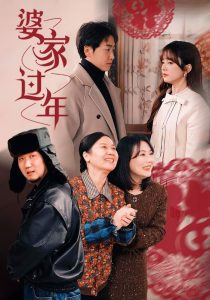 婆家过年海报