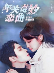 租个钻石男友回家过年海报