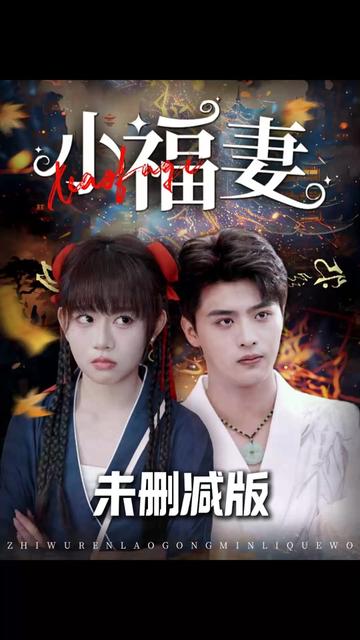 小福妻海报