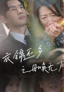 衣锦还乡之母唤无声海报