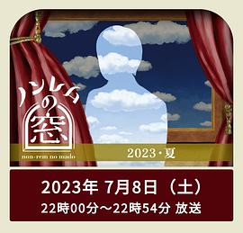 非快速眼动之窗夏海报
